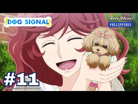 Dog Signal - YouTube