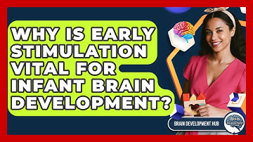 Why Is Early Stimulation Vital For Infant Brain Development? - Brain Development Hub