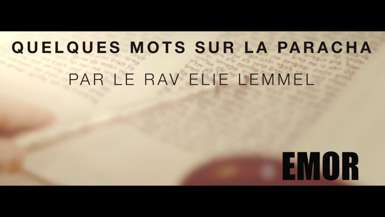 C'est MA mission ! Rav Elie Lemmel - Paracha Emor