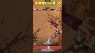 Best CS2 Cheat ATM! Ft. Cheesebunker.gg #cs2 #csgo #cheaters #esp #gaming #shorts