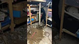 Sewage Backup from Cracked Pipe | Emergency Plumber Oakville #emergencyplumber #oakvilleplumber