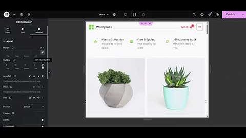 Elementor Video Banner Tutorial | Add Background Video to WordPress Page