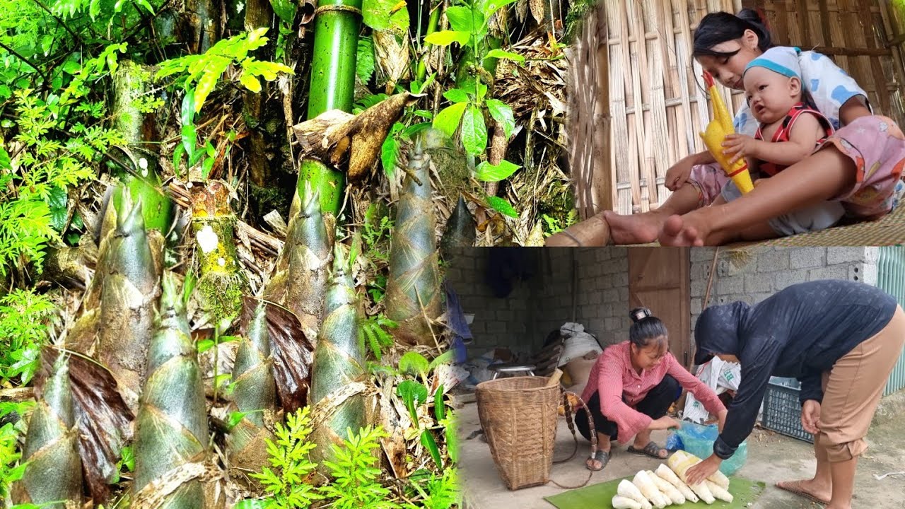 A 20-year-old single mother went into the deep forest to find bamboo in ...