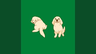 Delightful Backdrops for Slacking Doggy