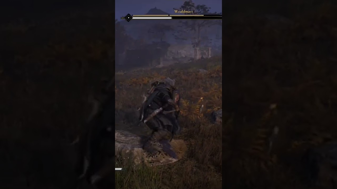 My One-Handed Great Axe Build| Assassin's Creed Valhalla