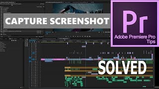 Adobe premiere pro tutorial |capture still image from video screenshot 5