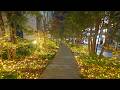 4k tokyo minato christmas lights walk  azabudai hills and tokyo tower4kr