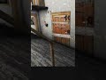 granny gameplay