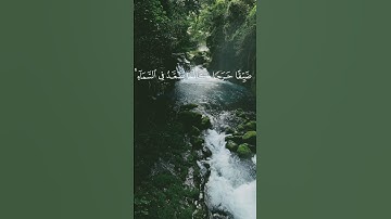 الشيخ ماهر المعيقلي | سورة الأنعام