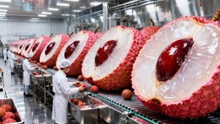 Inside a Modern Lychee Factory: From Fresh Lychees to Canned Lychee in Syrup (Full Process)