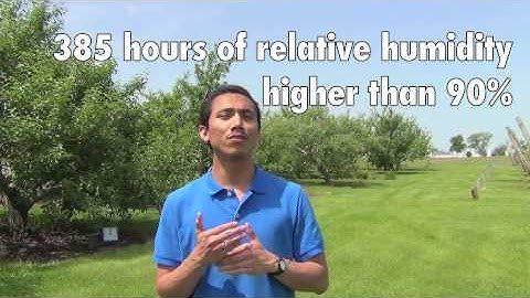 IPM Strategies for Apple Orchards: SBFS & Fruit Rot