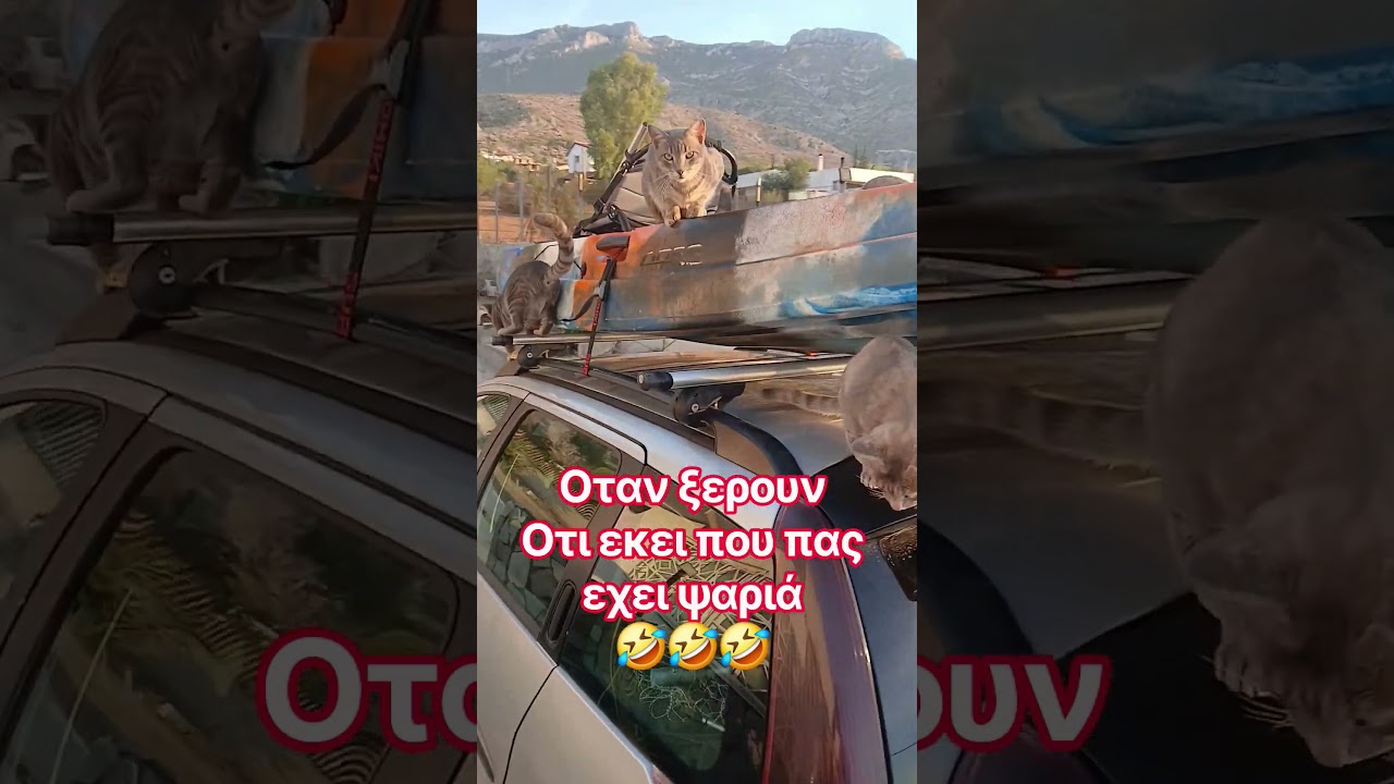 Πως φευγεις για #ψάρεμα?🤣
