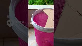 Funny! Rice bait trick so simple, mice fall for it every time #pestcontrol #DIY #funny