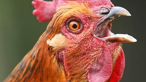 How to not be bad at cs PT.2 Bhopping