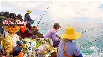 Câu Cá Biển, Câu Ghềnh, Câu Cá Biển Tự Nhiên, Giật Cá Giò 2 Ngón Lia Lịa Tại Hòn Sẹo