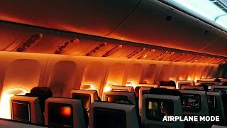 Dreamliner Nights ✈️ Cozy Flight Ambience for Deep Relaxation Profile