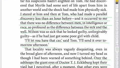 Gatsby Chapter 7: Annotations