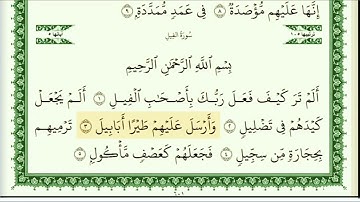 أيمن سويد سورة الفيل مكتوبة HD