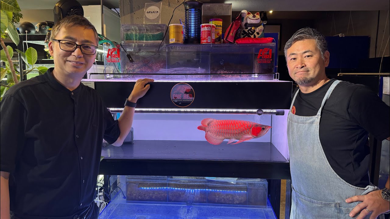 Shop visit! First visit from a one-of-a-kind VIP! The newly