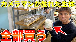 【破産企画】カブト、クワガタに興味のない男に店内紹介させて触れた生体全部買ったらヤバいことになった