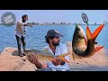 Feeder fishing techniques | carp fish baite details