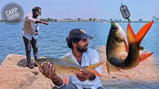 Feeder fishing techniques | carp fish baite details