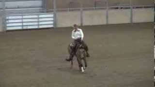 Heza Lokota Chic  RA 2013 Futurity Champion  Amanda Antifaev Sire : Lokota Chic