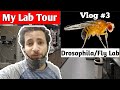 My Lab Tour | Drosophila Fly Lab | NCCS Pune |  Vlog 3 Ft Drosophila