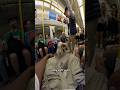 Train interactions with my dog!! #doglover #tube #subway #train #viola #husky #puppy #famous
