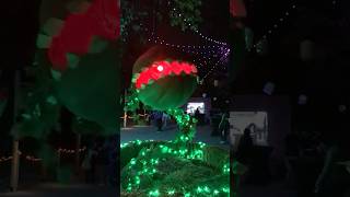 Creepy Plants !! Pumpkin Nights. Howell Family Farms. Arlington Texas. October 2025.