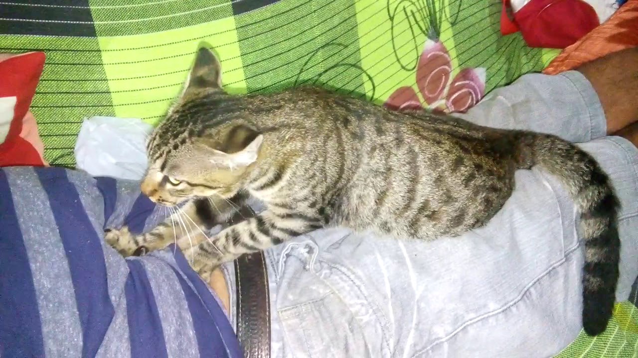 A Gata Massagista De Jeremoabo Bahia Youtube