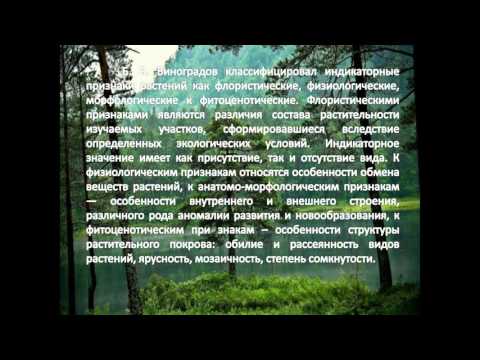 Биоиндикация и мониторинг состояния лесных экосистем. Часть 1