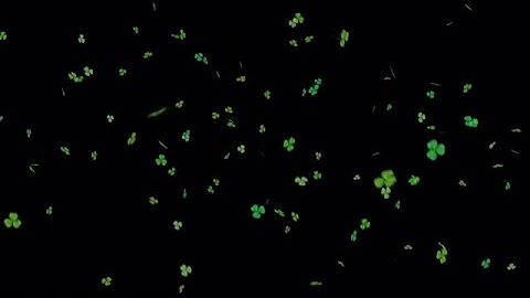 Green Clovers Falling Loop Stock Motion Graphics