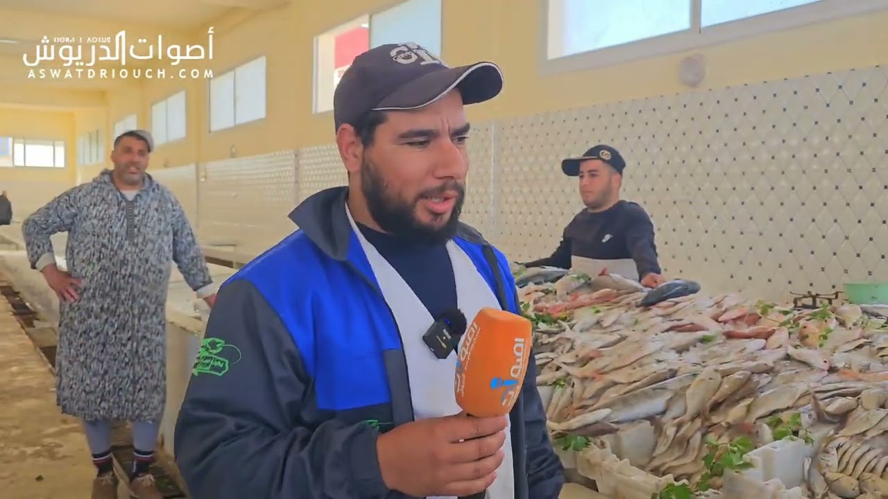 أصوات الدريوش تستطلع آراء بائعي السمك حول ارتفاع الأسعار وندرة السردين في رمضان
