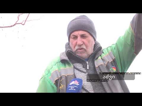 დიას მიკროფონთან - აძვი