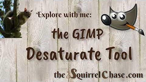 GIMP Desaturate Tool