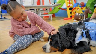 Therapy Dog Dash Cam | Great Ormond Street Hospital