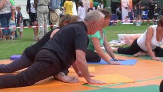 Yoga Demonstration at the Lincolnshire Show 2010