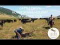 Big horn cattle drive  horse riding holidays in the usa  globetrotting