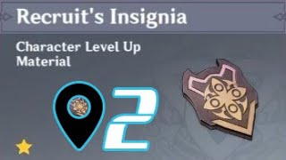 Genshin Impact: Recruit's Insignia SECOND PLACE (phù hiệu tân binh)