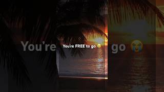 You’re Free To Go, Bad Liar - Imagine Dragons #breakup #lyrics  #shorts