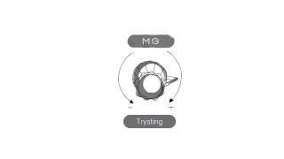 MG - Trysting