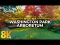 Best Autumn Seattle Attraction in 8K - Nature Walk to See Fall Colors of Washington Park Arboretum