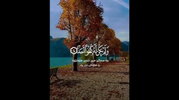 قرآن الكريم سورة الإخلاص بصوت القارئ شريف مصطفى اجمل صوت#شريف_مصطفى