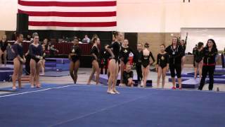 Jordyn Warner 2nd Floor Heart of Champion 2015 Wildfire Gymnast Level 7