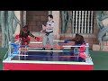 Amazing Orangutan  Boxing Phnom Penh Safari World