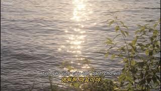 lily of the valley - daniel lyrics//vietsub