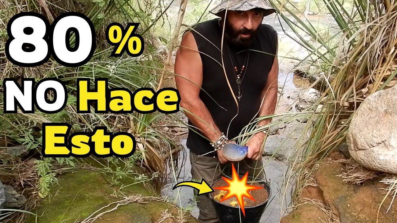 ¿Dónde Está el ORO y Cómo Buscarlo si Nunca lo Hiciste? Para Principiantes. Gold Finder Tips