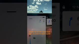Tesla Quick Tip - How To Set Autopilot Speed With Speed Limit Sign