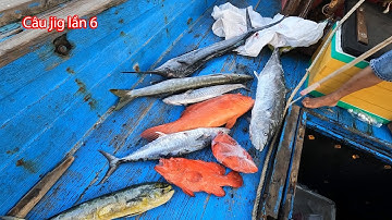 Câu jig lần 6: CÓ CÁ MÚ ĐỎ NỮA...